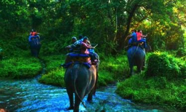 2 NIGHTS 3 DAYS DOOARS TRIP