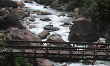 3 NIGHTS 4 DAYS DOOARS TRIP