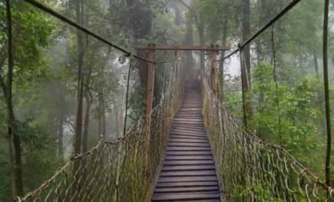 4 NIGHTS 5 DAYS DOOARS TRIP